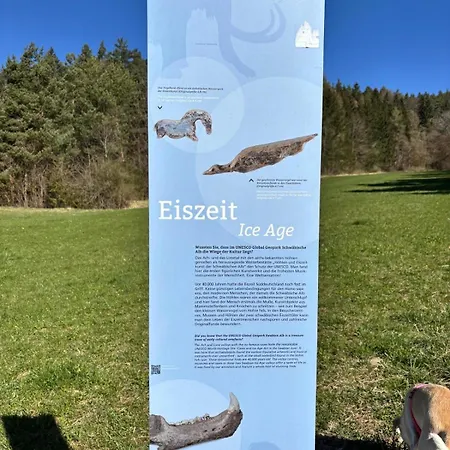 Apartment Panoramablick Mit Premium-wanderwegen Vor Der Haustuer