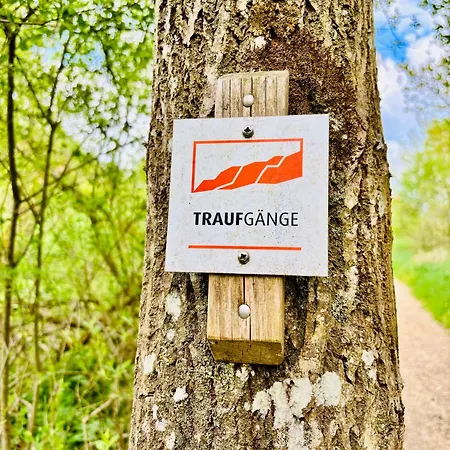 Lägenhet Panoramablick Mit Premium-wanderwegen Vor Der Haustuer