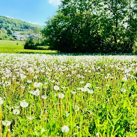 Panoramablick Mit Premium-wanderwegen Vor Der Haustuer アパート *