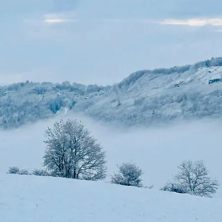 Panoramablick Mit Premium-wanderwegen Vor Der Haustuer * Albstadt