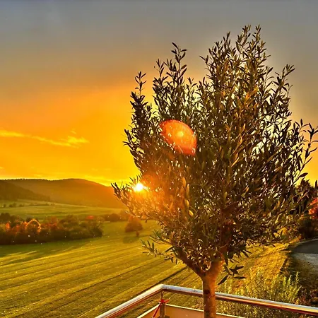 Panoramablick Mit Premium-wanderwegen Vor Der Haustuer *