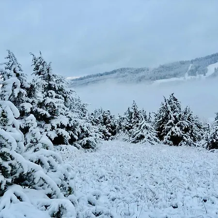 Panoramablick Mit Premium-wanderwegen Vor Der Haustuer Apartment