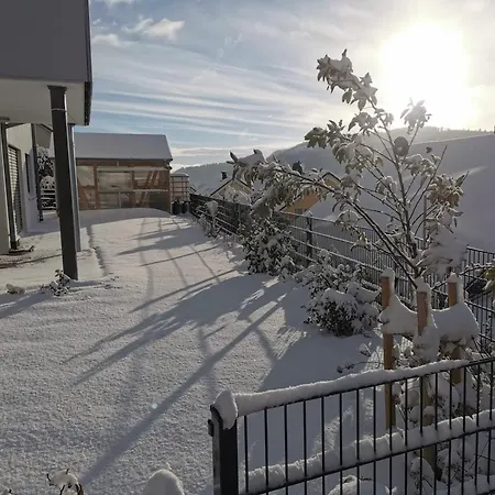 Panoramablick Mit Premium-wanderwegen Vor Der Haustuer Апартаменты *