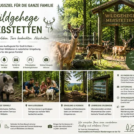 Panoramablick Mit Premium-wanderwegen Vor Der Haustuer Lägenhet Albstadt