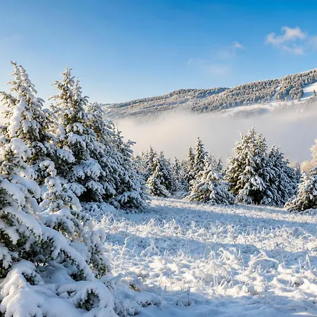 Panoramablick Mit Premium-wanderwegen Vor Der Haustuer Lägenhet