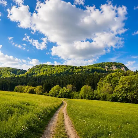 Lägenhet Panoramablick Mit Premium-wanderwegen Vor Der Haustuer