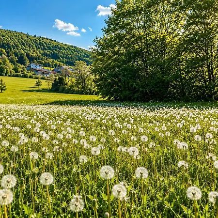 Panoramablick Mit Premium-wanderwegen Vor Der Haustuer Lägenhet *