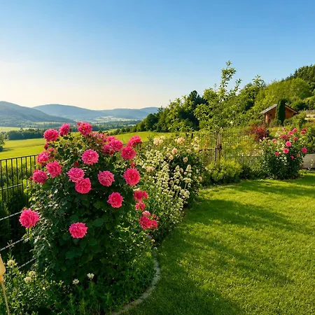 Lägenhet Panoramablick Mit Premium-wanderwegen Vor Der Haustuer *