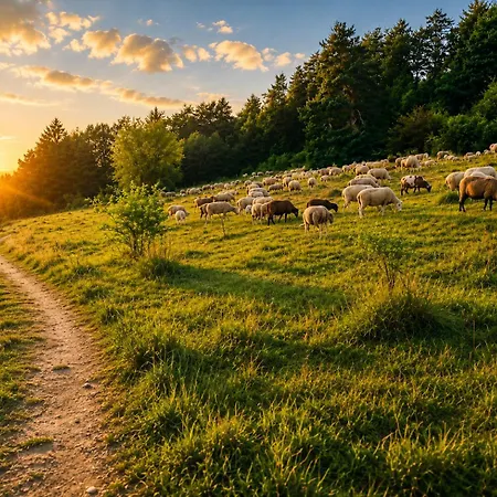 Panoramablick Mit Premium-wanderwegen Vor Der Haustuer Lägenhet